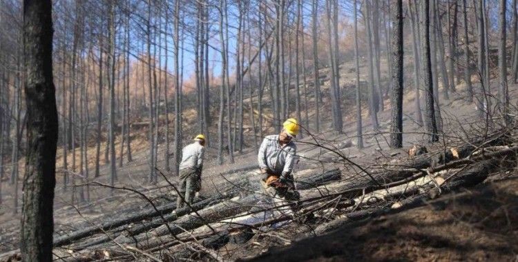 Bozdoğan’da yanan ormanlık alanda incelemelerde bulunuldu
