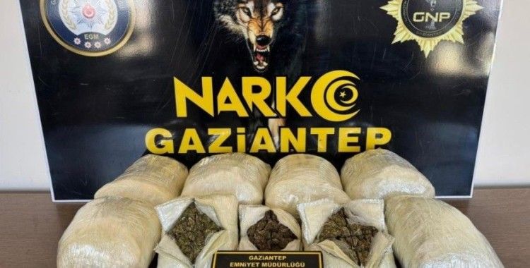 Gaziantep'te 5 kilo skunk ele geçirildi