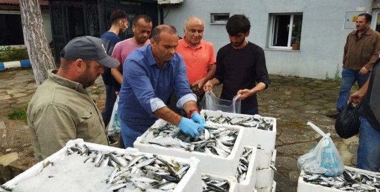 Sinop’ta yasa dışı avlanan 70 kasa balığa el konuldu
