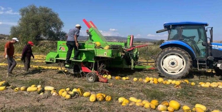 Beyşehir’de çerezlik kabak çekirdeği üretimi
