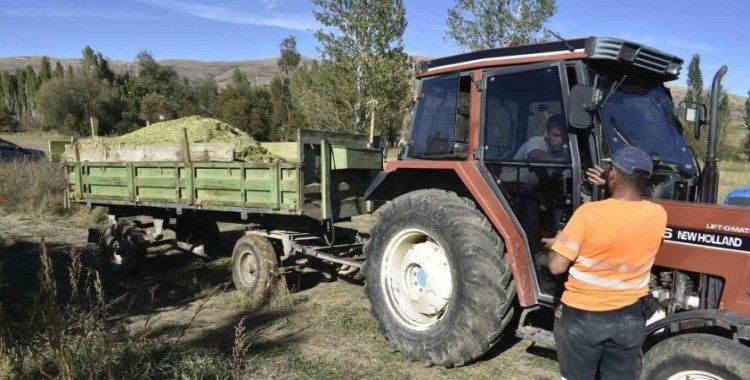 Bayburt’ta silajlık mısır hasadı başladı
