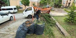 Başiskele’de moloz alım günlerine dikkat: "Evinizi Yenilerken Evimizi Kirletmeyelim"
