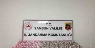 Samsun’da jandarmadan uyuşturucu operasyonu: 1 gözaltı
