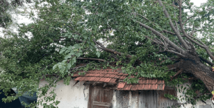 Antalya'da çıkan hortum ev ve seralara zarar verdi