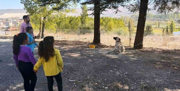 Hisarcık’ta özel öğrencilere hayvanlar tanıtıldı
