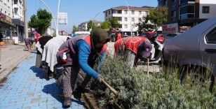 Yeşil dokuya özel ilgi
