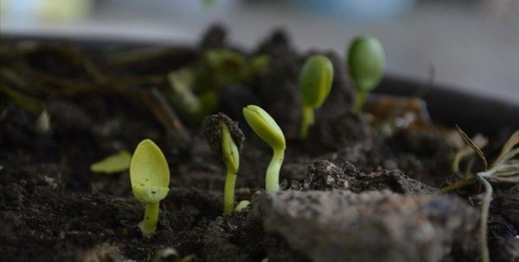 Üreticilere zengin besin içerikli ve doğa dostu organik gübre kullanmaları tavsiyesi