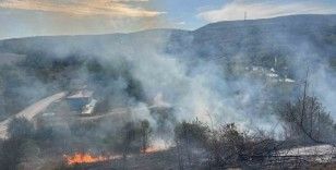 Samsun’da örtü yangını korkuttu
