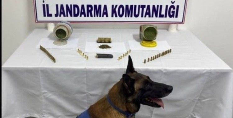 Balıkesir İl Jandarma Komutanlığı’ndan uyuşturucu operasyonu: 4 şüpheli gözaltına alındı
