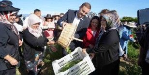 Başkan Akın, kadın çiftçilerin yanında
