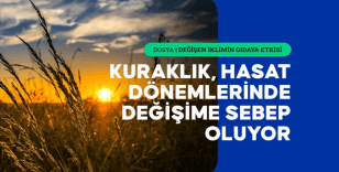 Aşırı sıcaklıkların getirdiği kuraklık ve dengesiz yağışlar tarımsal üretimi etkiliyor