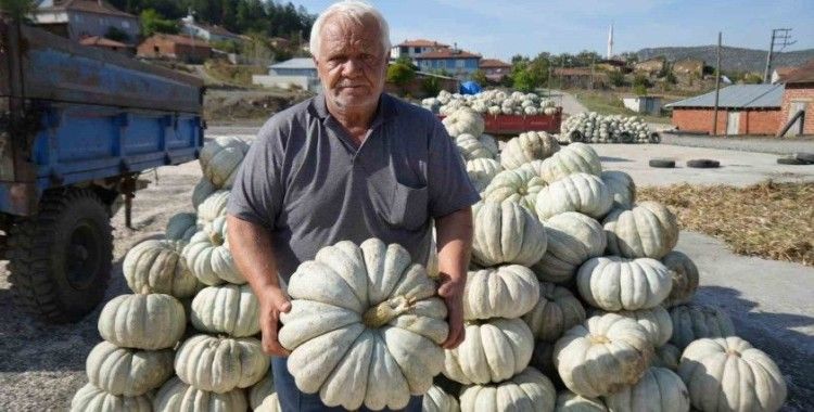 25 yıl önce deneme amaçlı ektiler, şimdi 40 şehre satıyorlar
