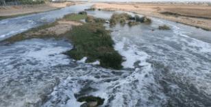 Dicle Nehri'nden alınan numuneler temiz çıktı