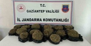 Otobüsün bağajından 18.5 kilo skunk ele geçirildi
