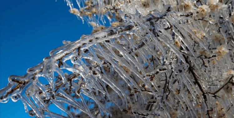 Meteorolojiden zirai don uyarısı