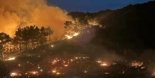 Muğla'da çıkan iki orman yangınına müdahale ediliyor