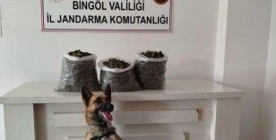 Bingöl'de 4,5 kilo esrar ele geçirildi