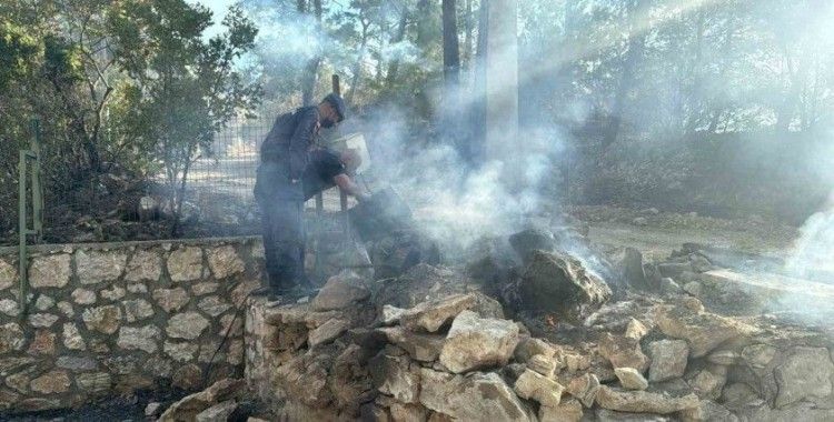 Asker ve itfaiye sahaya indi, yangının çıkış noktası ve sebebi araştırılıyor
