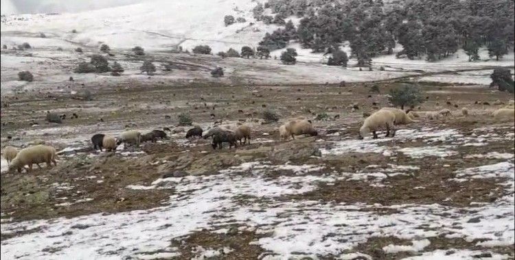 Kar yağışına yaylada yakalandı, koyunlarına türkü söyleyerek duygusal anlar yaşattı
