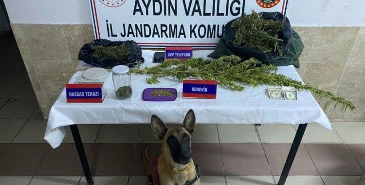 Nazilli’de uyuşturucu operasyonu: 1 gözaltı
