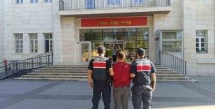 Jandarma ekipleri aranan şahıslara göz açtırmıyor
