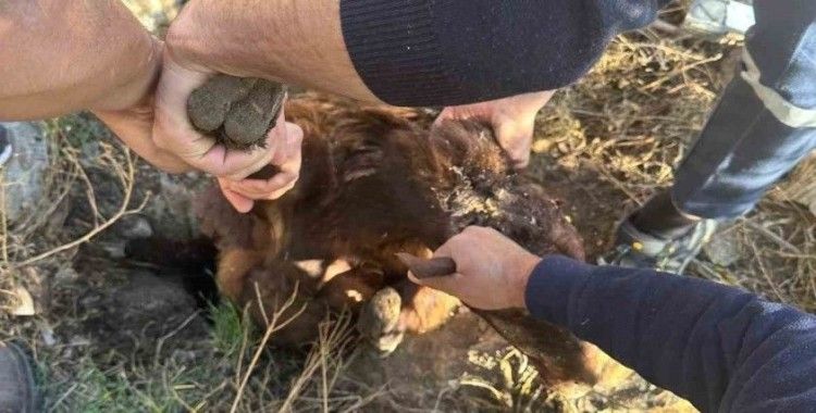 Iğdır’da kuyuya düşen koyun kurtarıldı
