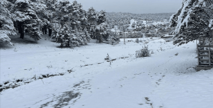 Sivas'ın yüksek kesimlerinde kar yağışı etkili oldu