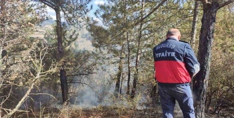 Ot yangını ormana sıçramadan söndürüldü
