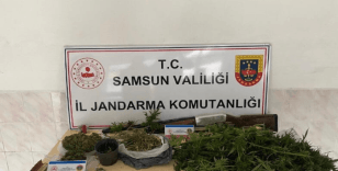 Jandarmadan uyuşturucu operasyonu: 2 gözaltı