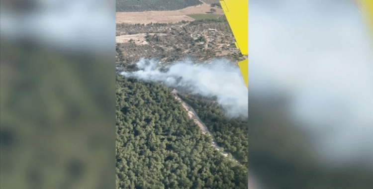 İzmir'de tarım arazisinde çıkıp ormana sıçrayan yangın kontrol altına alındı