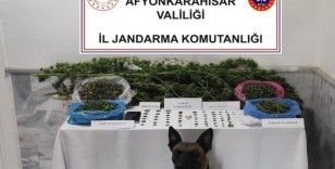 Jandarmadan uyuşturucu ve tarihi eser operasyonu
