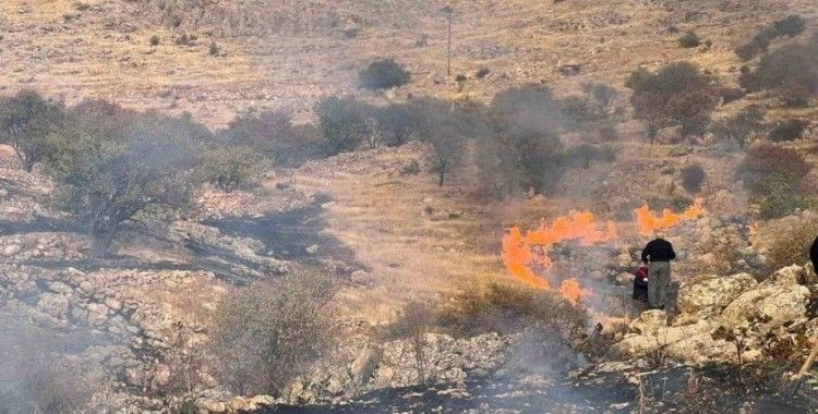 Mardin’de çıkan ot yangını söndürüldü
