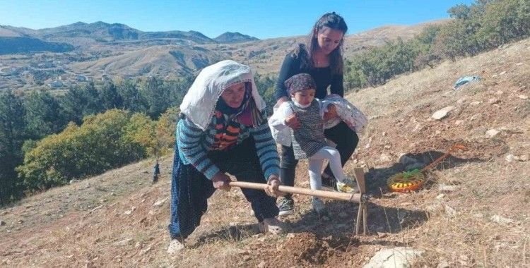 Tunceli’de bin meşe palamudu toprakla buluşturuldu
