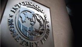 Eski IMF İcra Direktörü Mojin: IMF Batı'nın dış politikasının aracı haline dönüştü