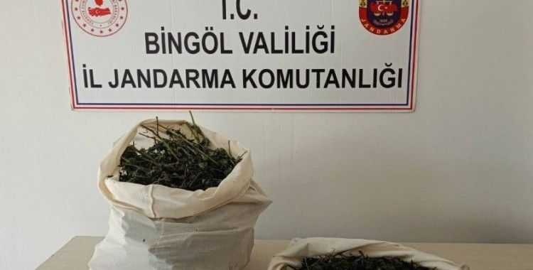 Bingöl’de 7 kilo esrar ele geçirildi
