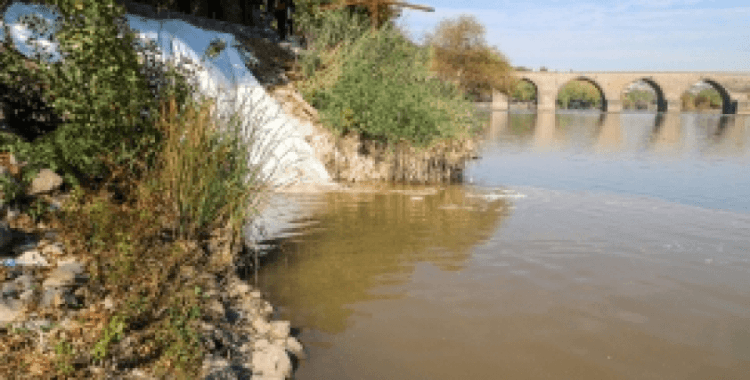 Dicle Nehri’ni kirleten işletmeler tespit edildi, yasal işlem uygulandı