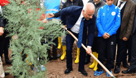 Diyarbakır'da fidanlar toprakla buluştu