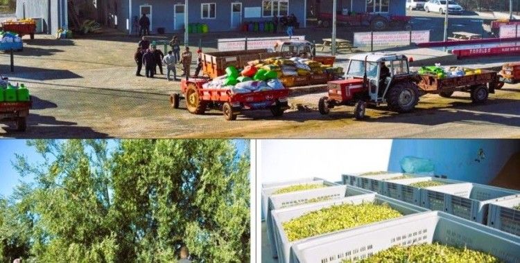 Beyağaç Belediyesinin yağ fabrikası zeytincilerin hizmetine açıldı
