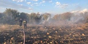 Defne’de zeytinlik alanda çıkan yangın söndürüldü
