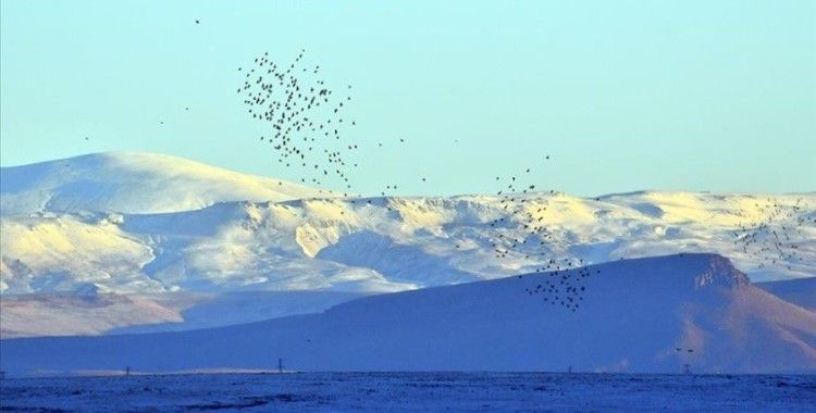 Kars'ta etkili olan kar yağışı etrafı beyaza bürüdü