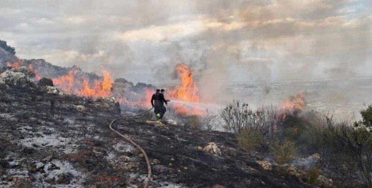 Antakya'da makilik yangını