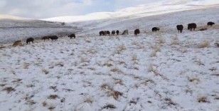 Ağrı'da kış kapıya dayandı