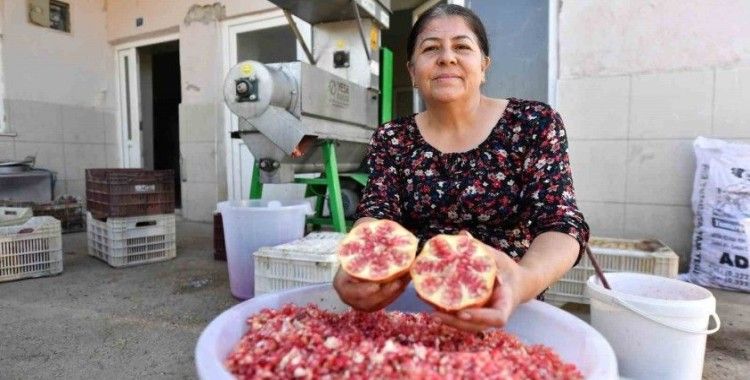 Büyükşehir Belediyesinden üreticiye ’Nar Taneleme Makinesi’ desteği
