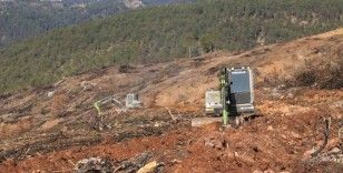 Yangında küle dönen Ilgaz Dağı yeniden yeşillenecek
