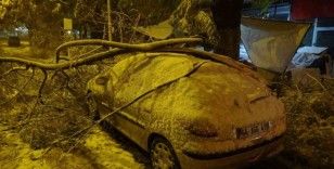 Malatya’da kardan kırılan ağaç dalları araçların üzerine devrildi
