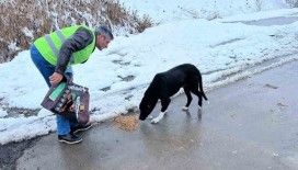 Sokak hayvanları için besleme çalışması yapıldı
