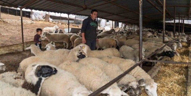 Yangın mağduru çiftçilere 225 ton yem desteği
