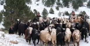 Konya’da yaylada yoğun kardan mahsur kalan besiciler yol açılarak kurtarıldı
