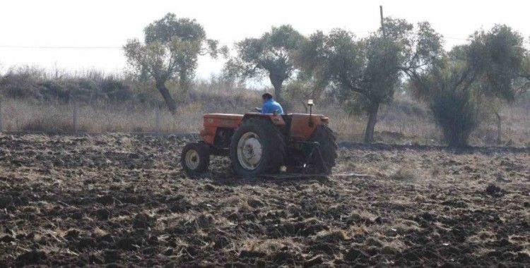 Bodrum Belediyesi’nden karakılçık buğday ekimi
