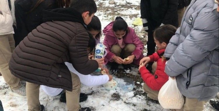 Öğrenciler kar sebebiyle aç kalan hayvanlar için doğaya yiyecek bıraktı
